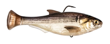 Z-MAN Shadtron LT4.5in. Slow Sink Gizzard Shad