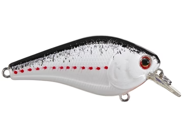 Head Hunter Square Bill 1.5 Shad Splatter